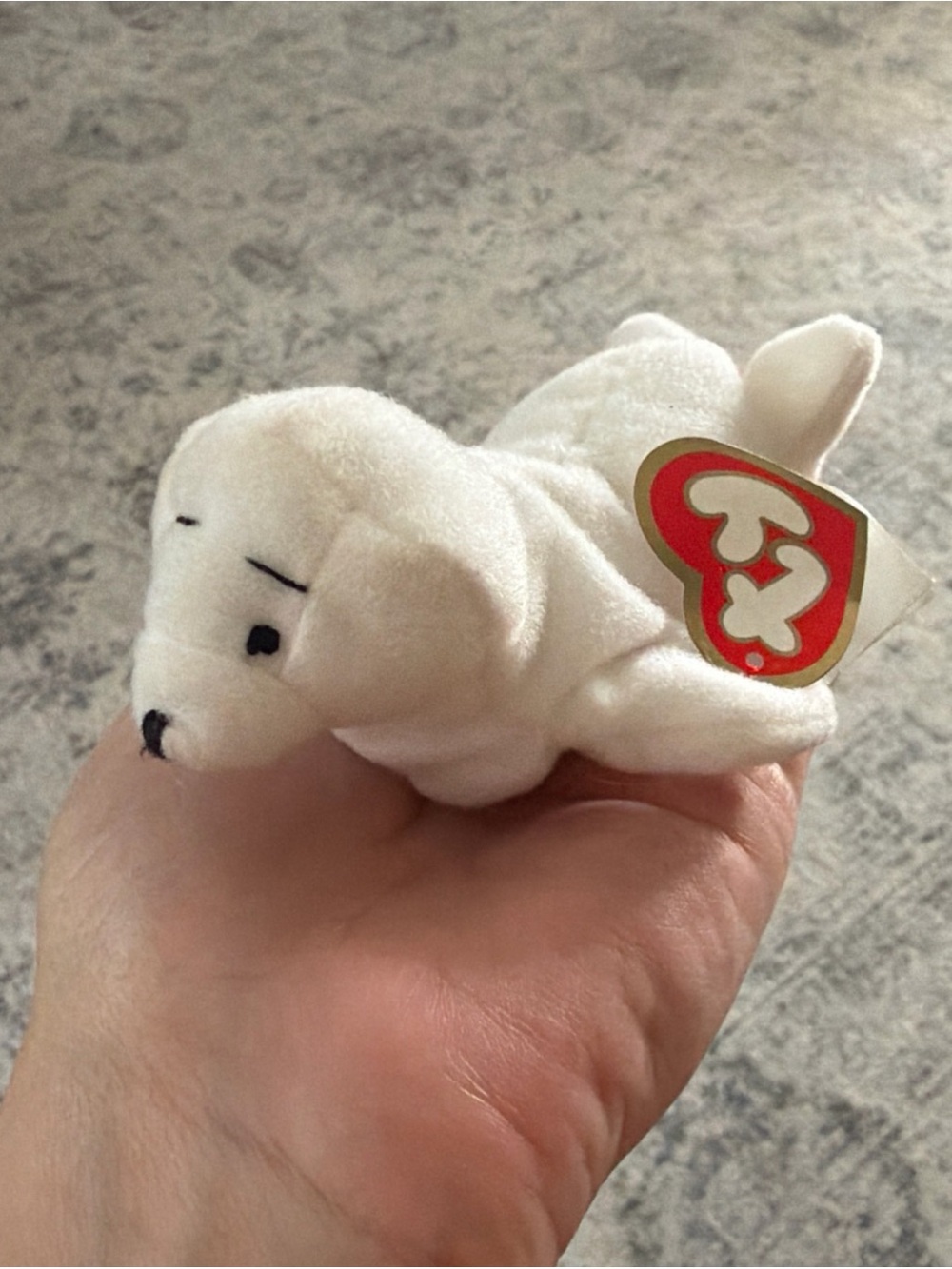TY Teenie Beanie Baby White seal Plush- Seamore